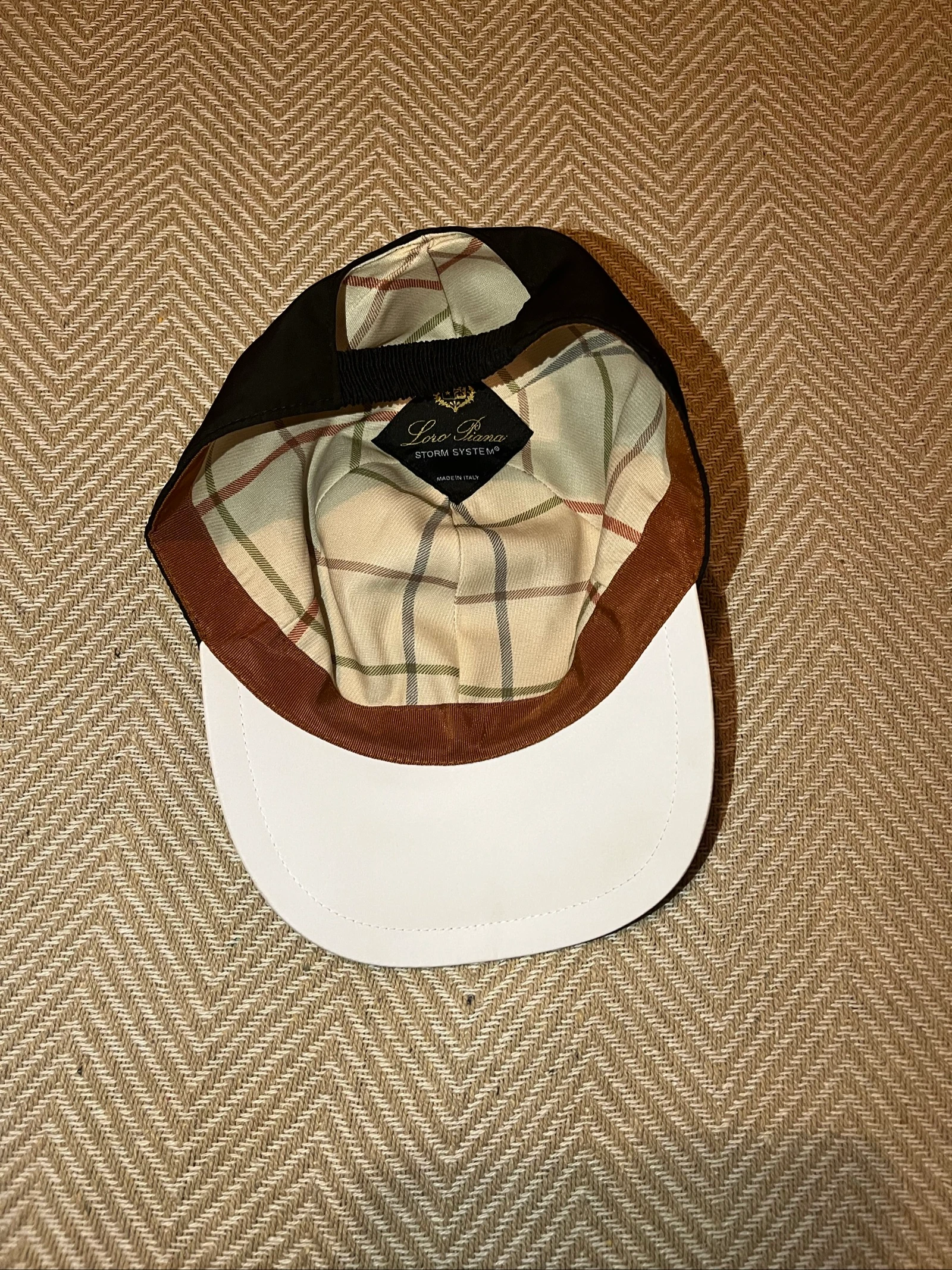 LP pet – photo 3
